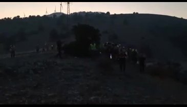 Muğla'da orman görevlisinin üzerine ağaç düştü!