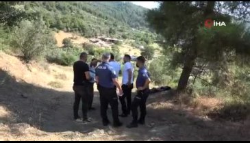 Bursa'da zeytinlikte ceset bulundu!
