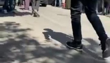 Bursa'da dehşet! Karısını öldürüp intihar etti
