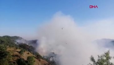 Muğla yangınında 12. gün! Milas ve Köyceğiz'de yangın devam ediyor