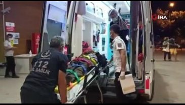 Bursa'da motosiklet domuz sürüsüne daldı! 1 yaralı