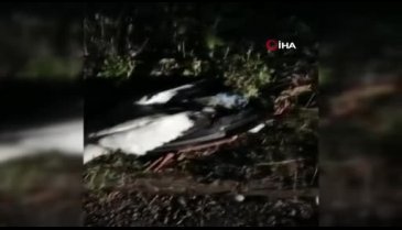 Bursa'da ölmek üzere olan leyleğin yardımına koştular