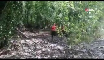 Bartın'da sele kapılarak kaybolan 85 yaşındaki kadını arama çalışmaları sürüyor