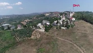 Bursa'da yanan 36 hektarlık alan yeniden ağaçlandırıldı