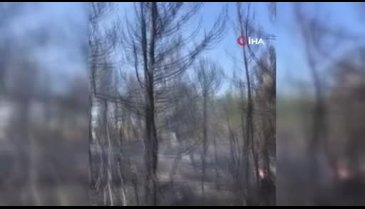 Orman yangınında canlı yayın yaparken helikopter üzerine su boşalttı