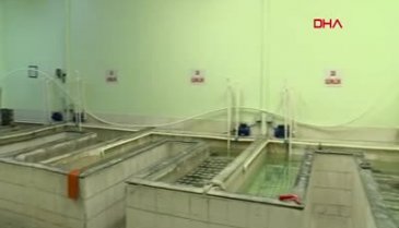 İstanbul için ürküten inceleme: Binalarda tahta ve deniz kabuğu var!