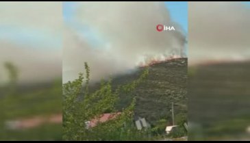 İzmir'de iki ayrı bölgede orman yangını meydana geldi