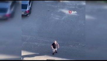 'Daire 16'nın sokak köpeği isyanı!