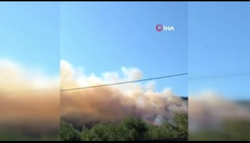 Bursa Mudanya'da orman yangını! - 2