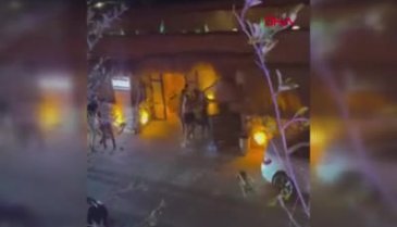 İzmir Çeşme'de gece kulübünde bıçaklı kavga!