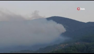 Kazdağları'ndaki yangın söndürme çalışmaları devam ediyor