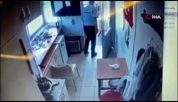 Adana'da vahşi olay! Kaynattığı suyu köpeğin üzerine döktü
