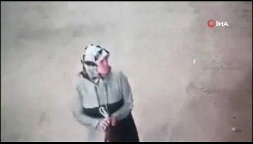Bursa'da yaşlı kadın, camdaki çiçeği söküp çaldı