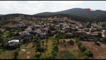 Bursa'da hayalet köyler eski canlılığına kavuştu