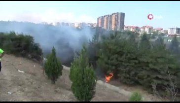 Bursa'da otoyol girişindeki ağaçlık alanda yangın