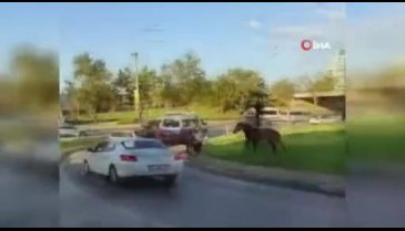 Bursa'da başıboş atlar kaldırımda yürüyüp araçlar gibi anayolda ilerliyor