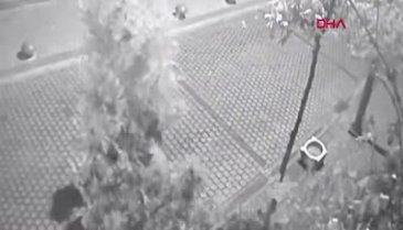 Bursa'da kaktüs hırsızlığı kamerada