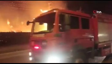 Bursa'da çalılık alanda yangın! Alevler tamir atölyesi ve yüksek gerilim hattına sıçradı