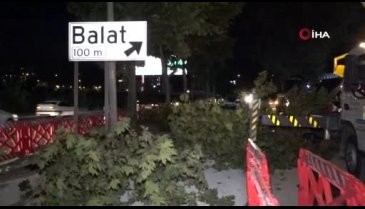 Bursa'da yeni metro hattında ağaç seferberliği