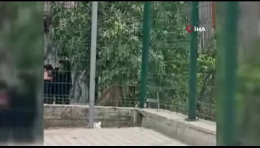 Bursa'da kadınlar saç saça baş başa birbirine girdi