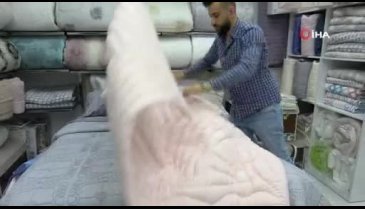 Bursa'da başından yaralı ölü yunus sahile vurdu