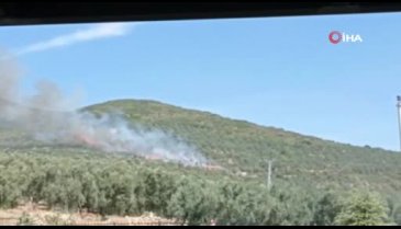 Bursa'da hastane yakınında orman yangını