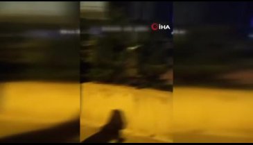 Bursa'da kaybolan Batu bulundu