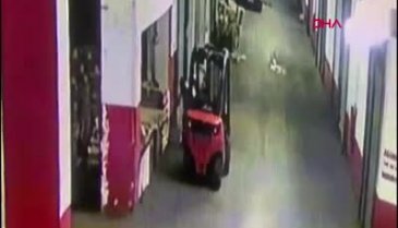 İstanbul Bayrampaşa'da cani adam kediyi tekmeleyerek öldürdü