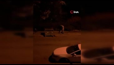 Ankara'da öğretmen sokak hayvanları için bırakılan mamaları tekme atarak döktü