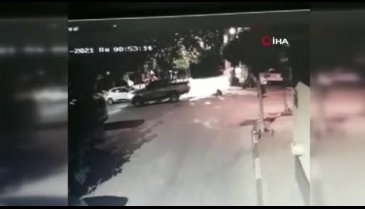Bursa'da kamyonetiyle ezdiği köpeği bırakıp kaçtı