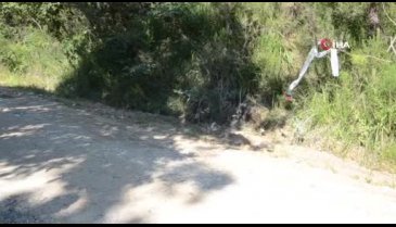 Ordu'daki cinayetin katil zanlısı belli oldu