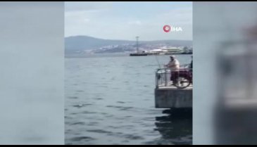 Bursa Mudanya'da oltaya balık yerine martı takıldı