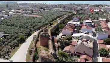 Bursa'da 2 bin yıllık surların içinden çıktı, kimse koparmaya kıyamadı