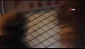Ankara merkezli 20 ilde 'Benjamin' operasyonu! 96 gözaltı&nbsp;