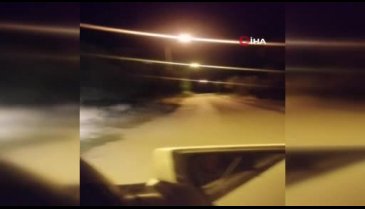 Bursa'da aç kalan domuz sürüsü şehre indi