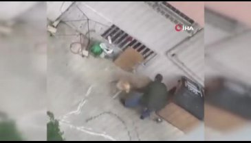 İstanbul Maltepe'de doktor, köpeği yumrukladı!
