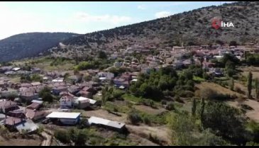 Bursa'da "Yırtıcı hayvanlar parçalasın" diye bırakılan kedilere köylüler sahip çıktı