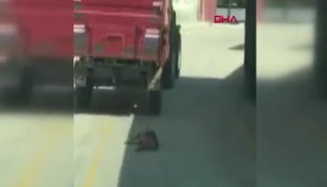 Tekirdağ'da bir şahıs traktörün römorkuna bağladığı köpeği metrelerce sürükledi