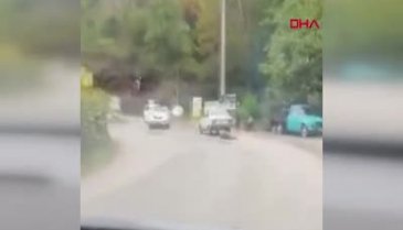 Vicdan yoksunu sürücü, domuzu otomobilinin arkasına bağlayıp sürükledi