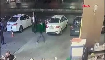 İstanbul Büyükçekmece'de köpeği suratından bıçakladılar
