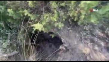 Bursa İznik'te defineciler tarlaları köstebek yuvasına çevirdi