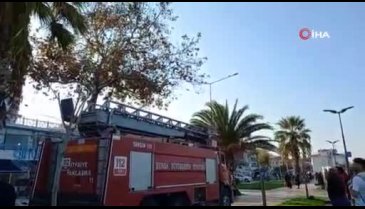 Bursa Mudanya'da ayağına misina dolanan güvercin kurtarıldı