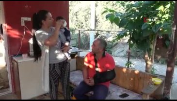 Antalya'da pitbull dehşeti! Baba ve küçük çocuğu hastanelik oldu