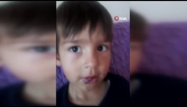 Kastamonu'da köpeğin saldırısına uğrayan çocuk ölümden döndü