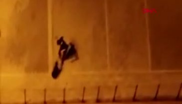 İstanbul Esenyurt'ta köpeği tekme tokat dövdü