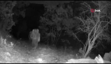 Teröristler fotokapana böyle yakalandı