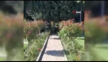Şehit mezarlığında öpüşüyorlar!