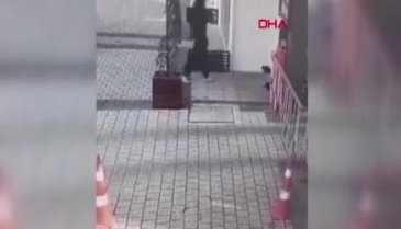 Bursa'da hayvanların su ve mama kaplarının çalınması kamerada