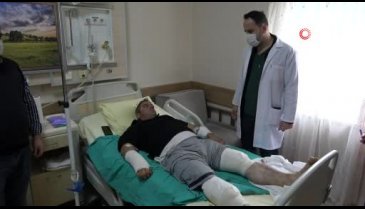 Tokat'ta ayı saldırısından güreşerek kurtuldu