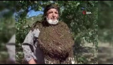 Kayserili Sami Dede, arılarla yaşıyor